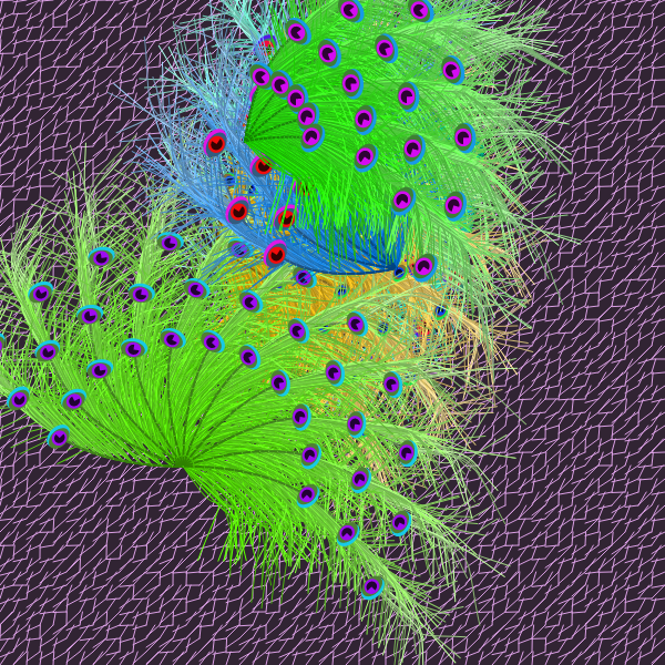 Oriental Peafowl Impression #1