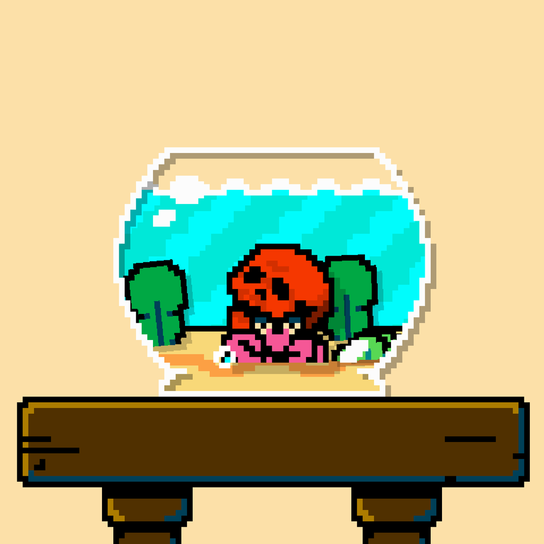 hermit crab #76