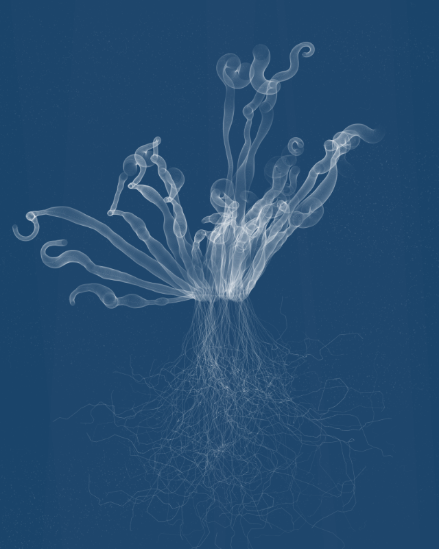 Cyanotypes #109