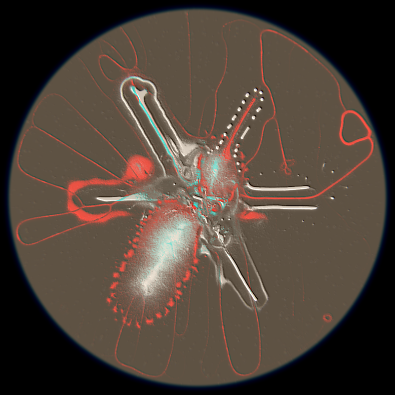 Ethereal Microcosm #176