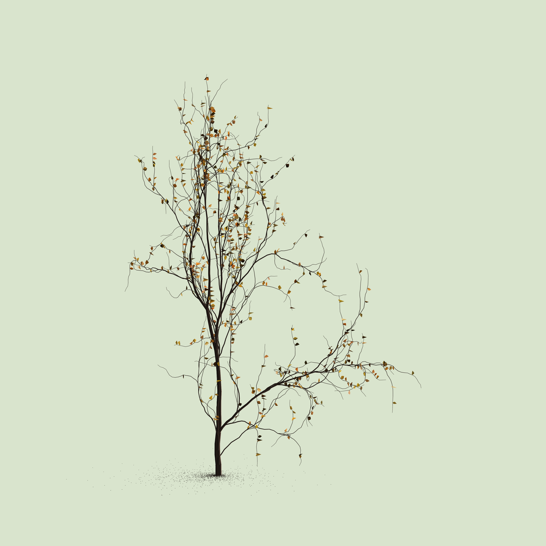 Little Trees #12