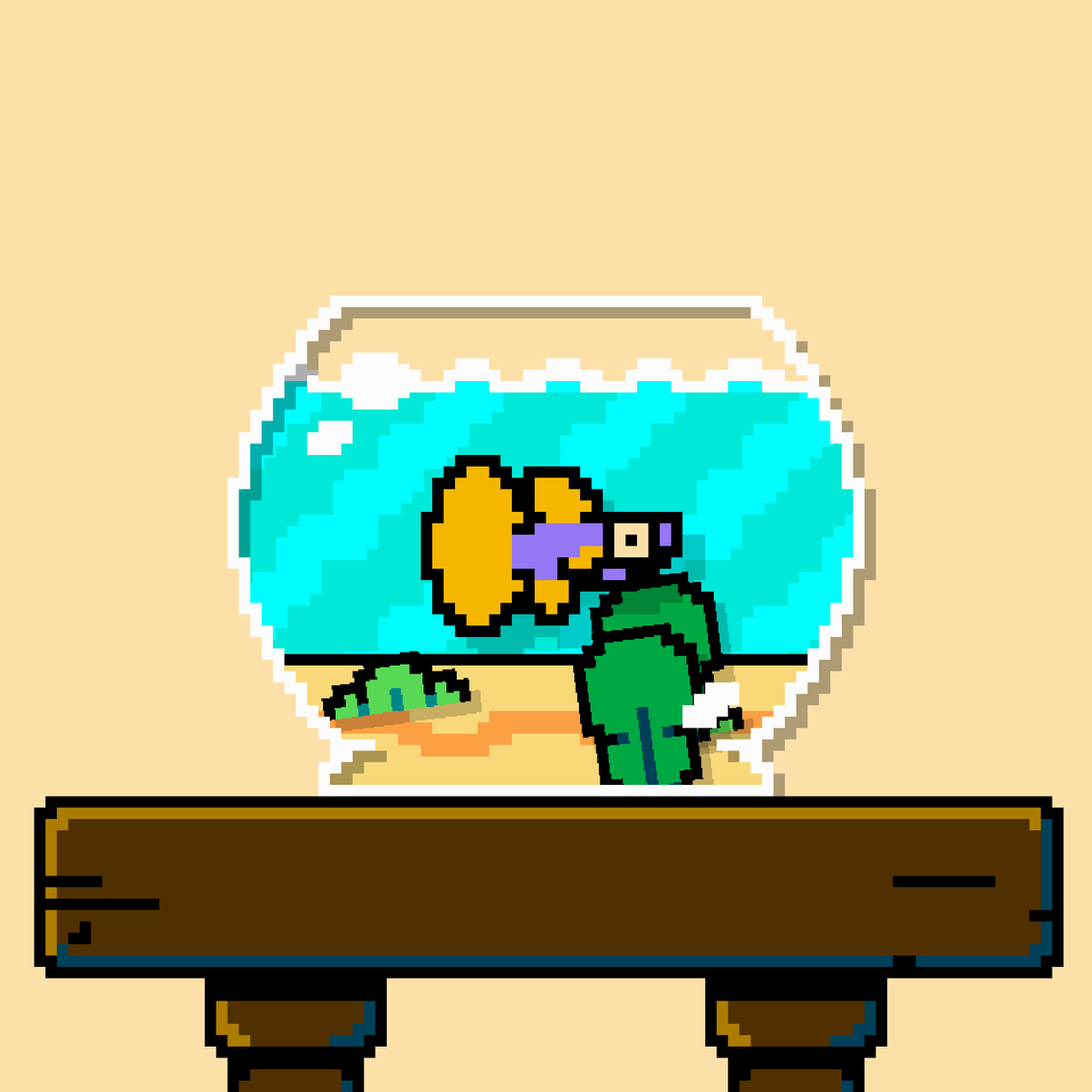 betta fish #312