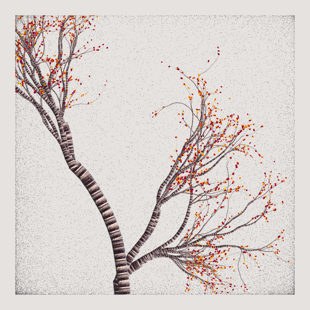 Bougainvillea #12