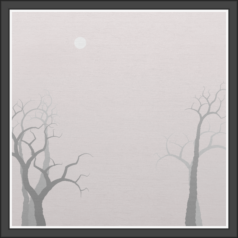 The Foggy Trees #62