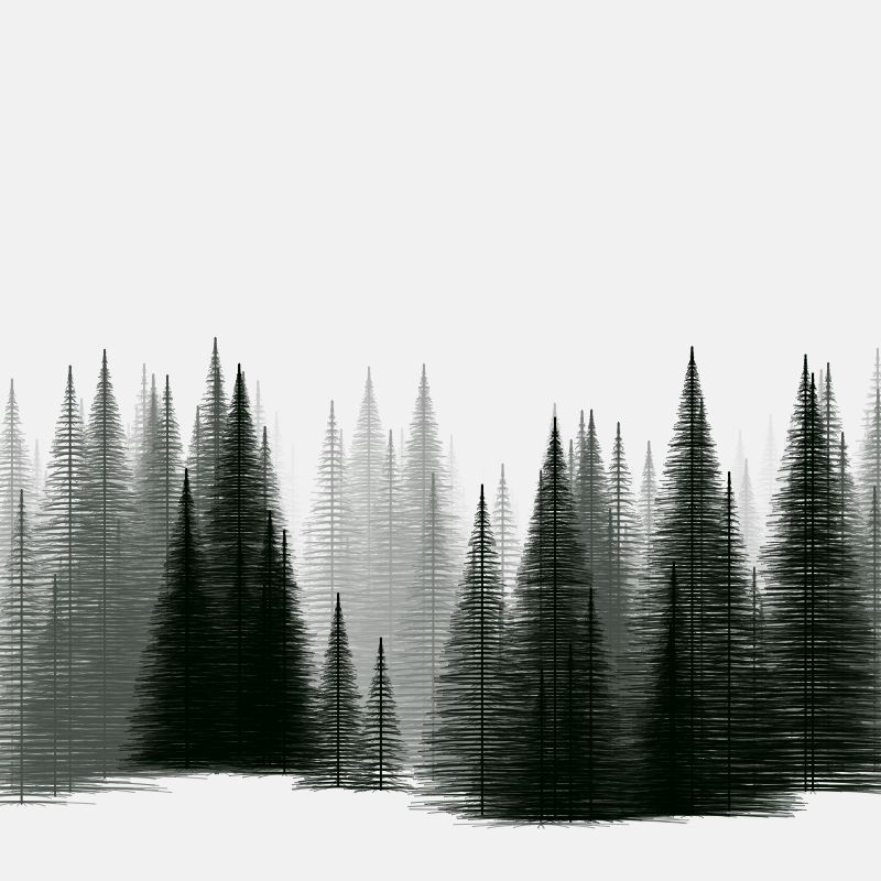 Pine trees in the cold #21