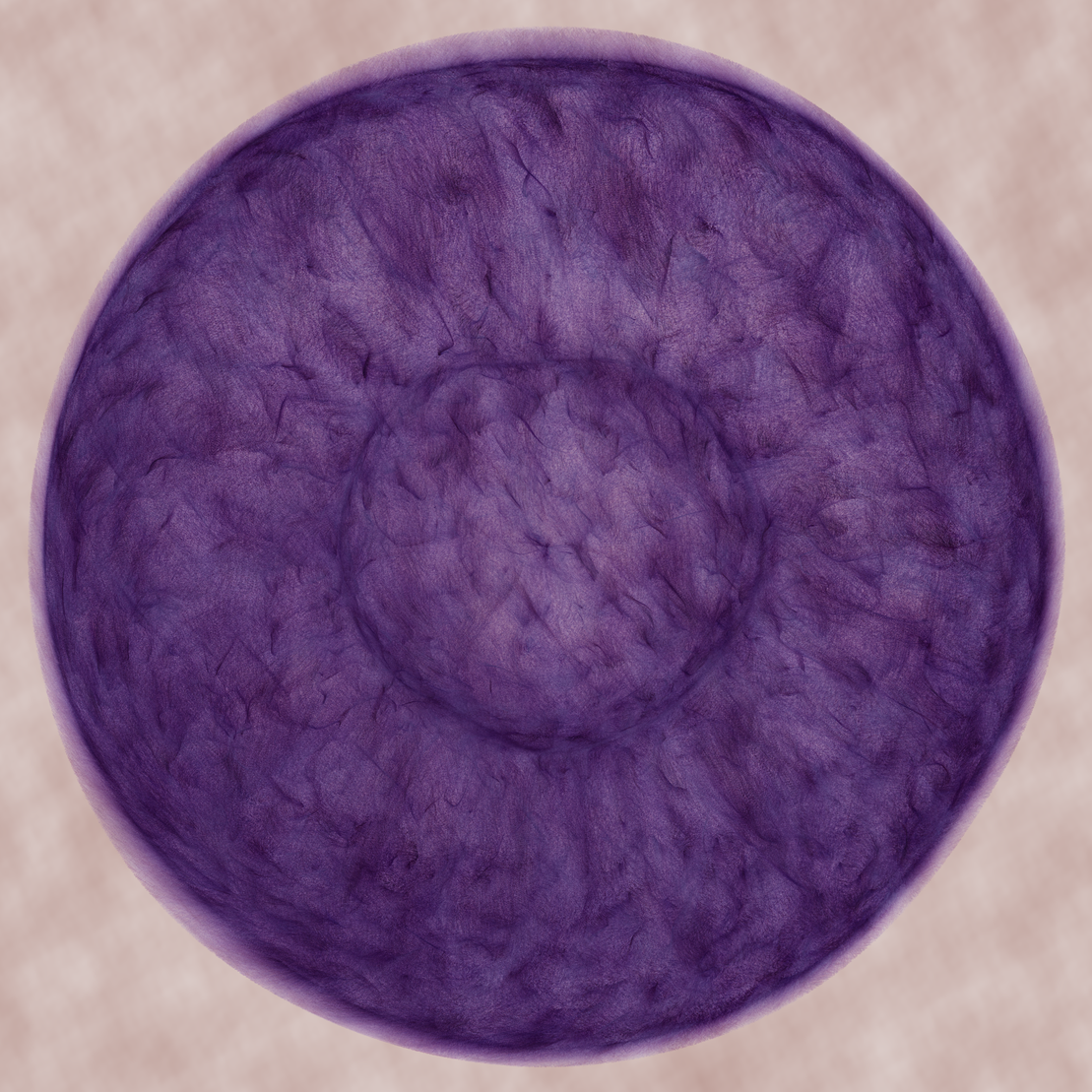 stellar nurseries #116