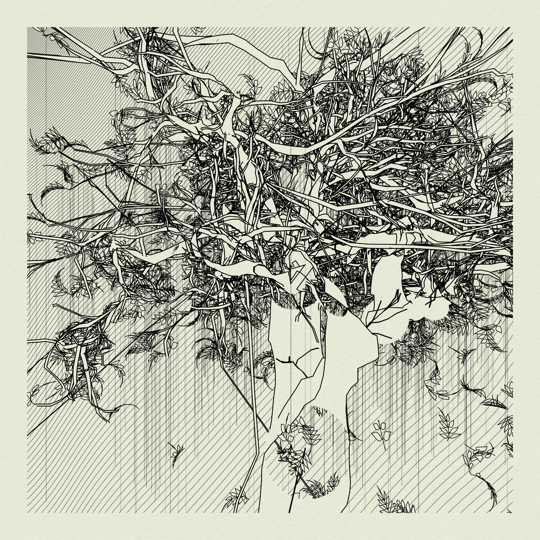 A Bugged Forest #356