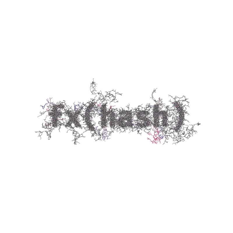 FXHASH Logo with Features #733