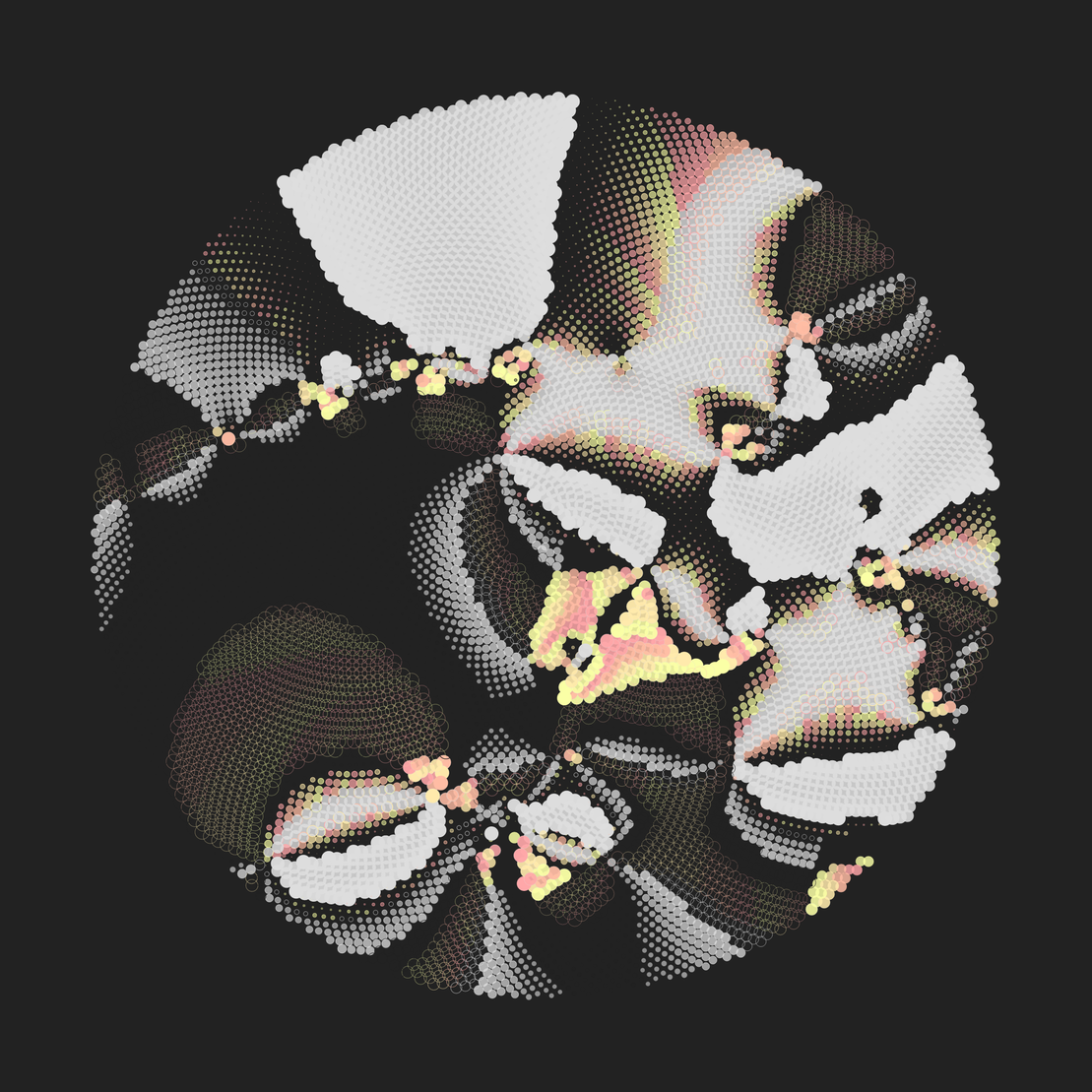 Still C #24004