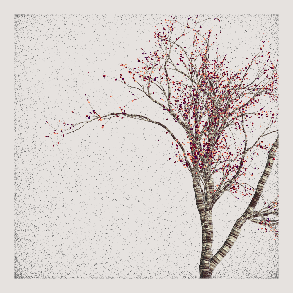 Bougainvillea #190
