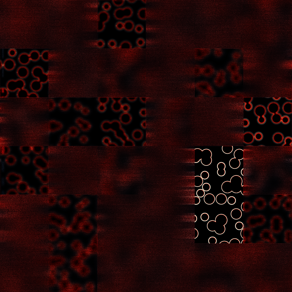 Bacterias #30