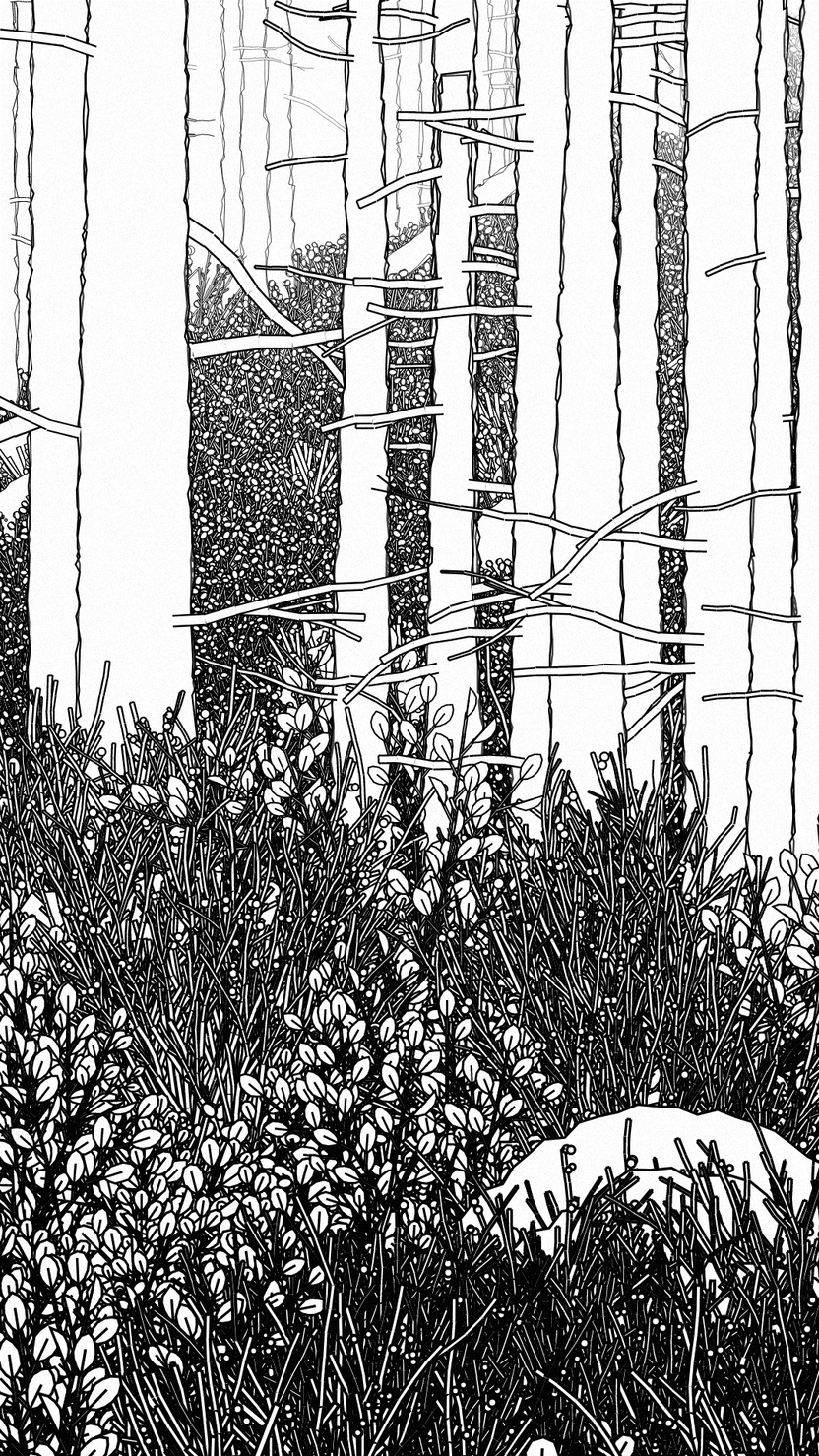 Swedish Forest #279