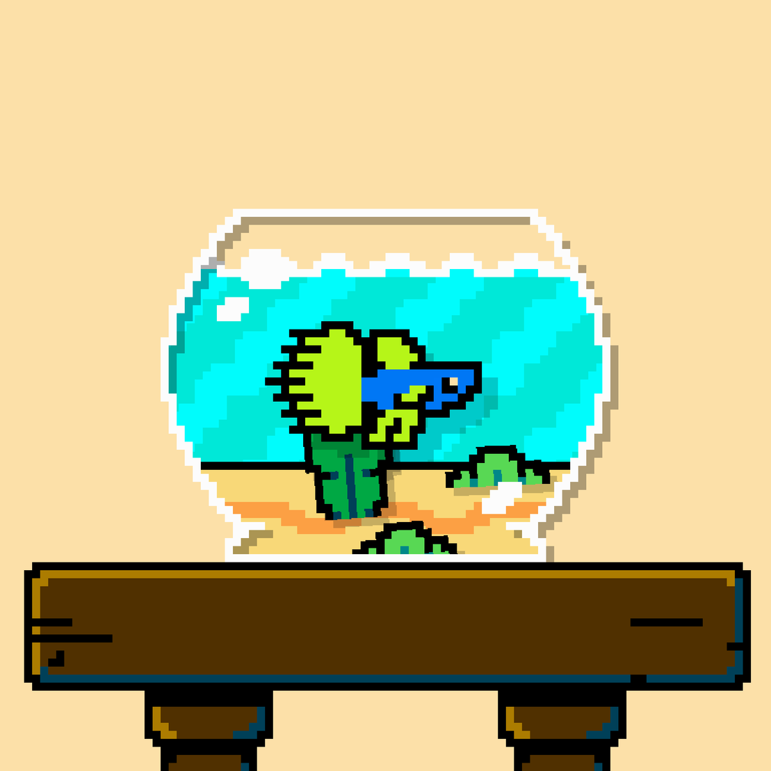 betta fish #48