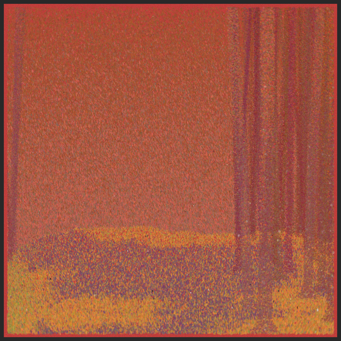 forest #205