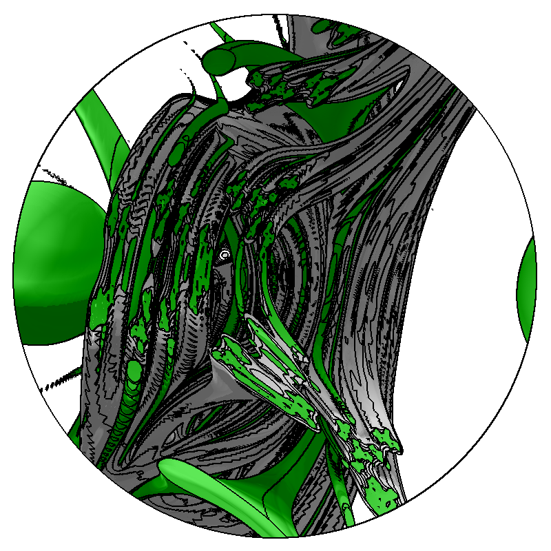 LL21 Anatomy #28