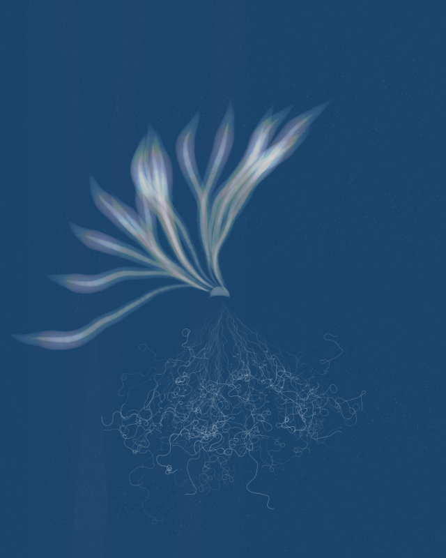 Cyanotypes #185