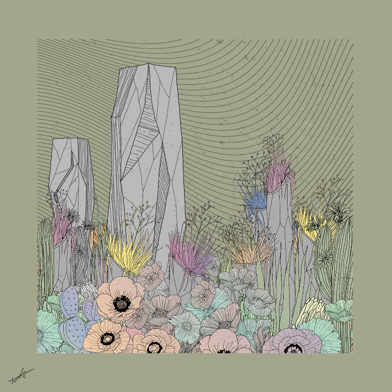 Garden of Lines #Rocks_Blooms