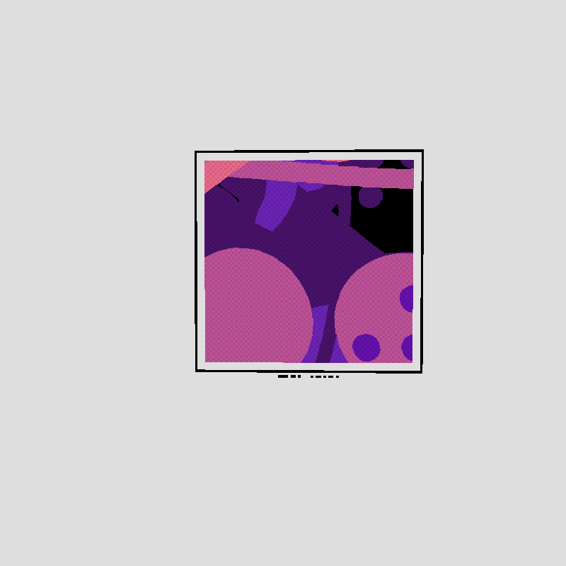 white room #243