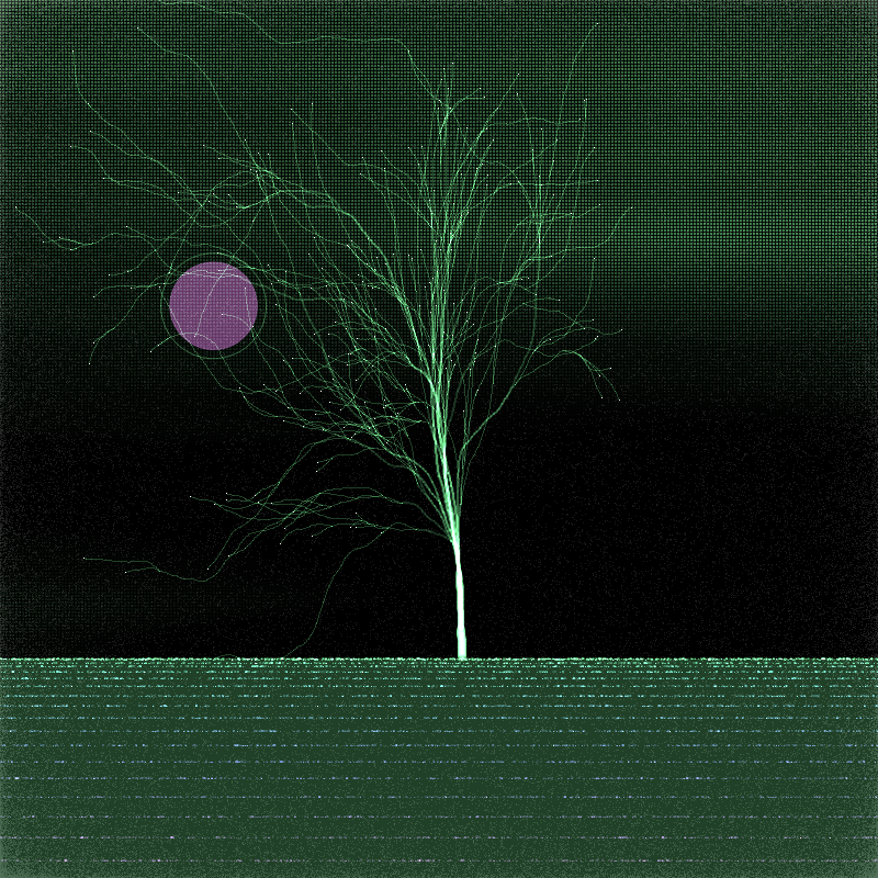 winter trees #23