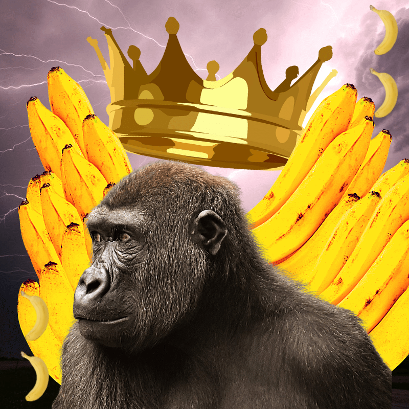 Banana gods #48