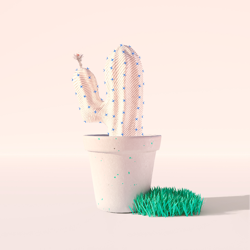 3D Crypto Cacti #1