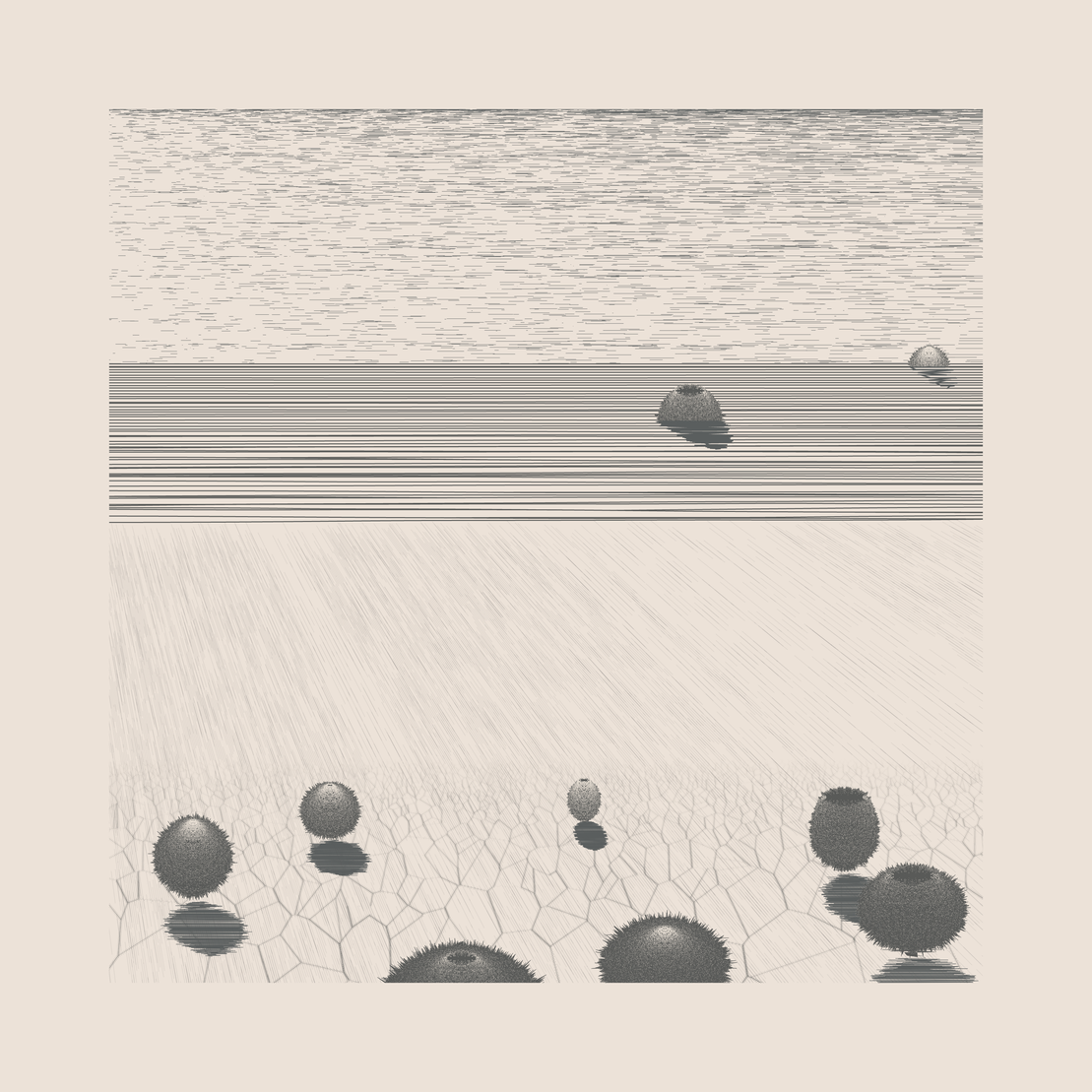Under a New Sky #26
