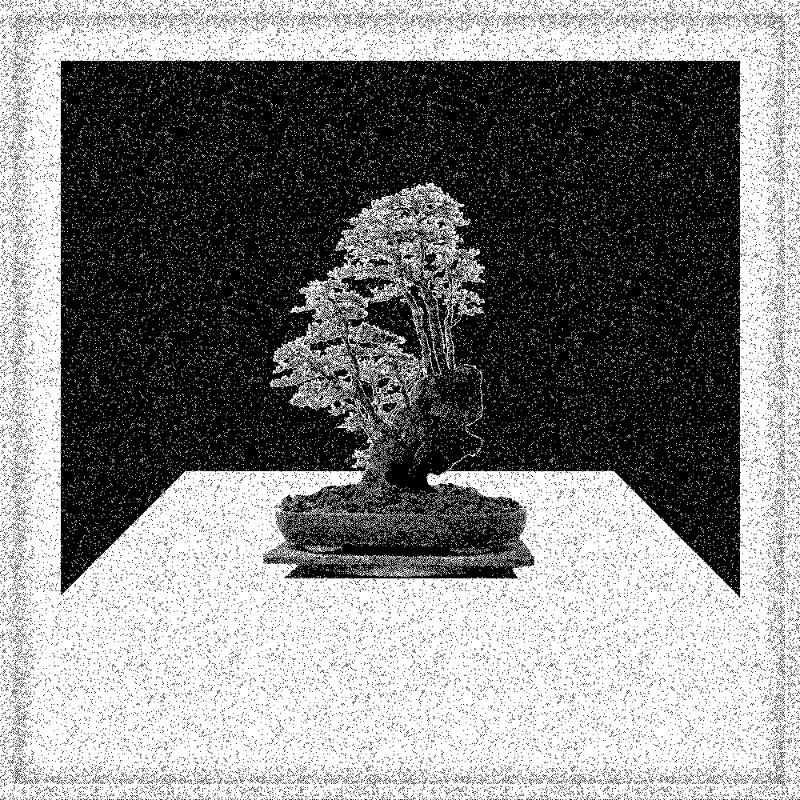 Bonsai Bonanza #138