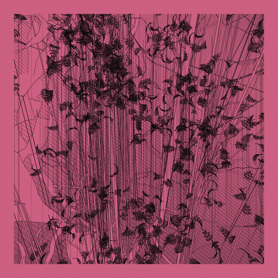 A Bugged Forest #773