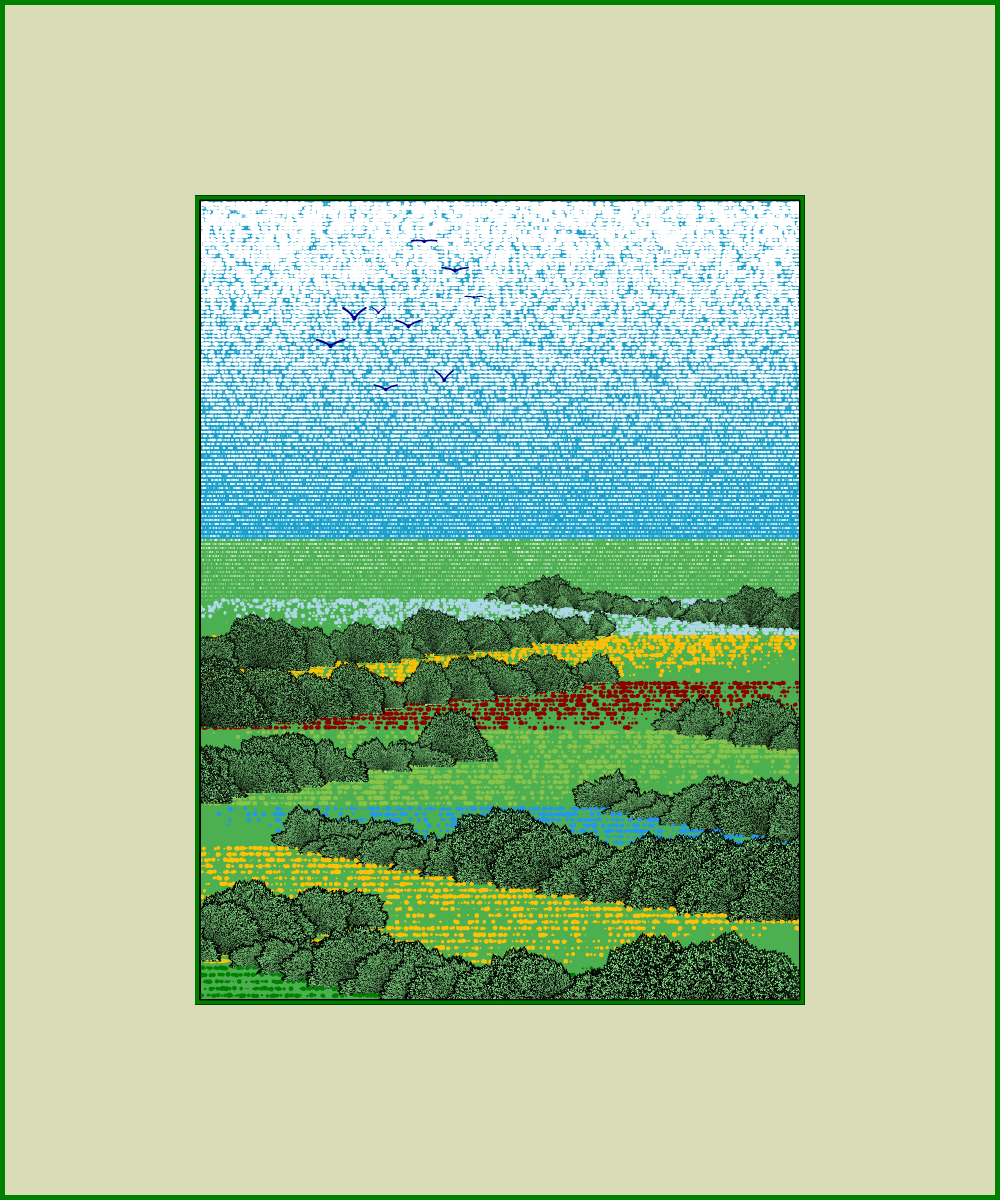 Fields of flowers #16