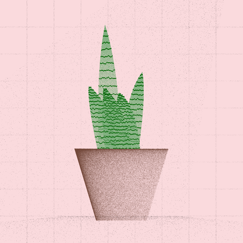 🌱 Potted & Printed #122