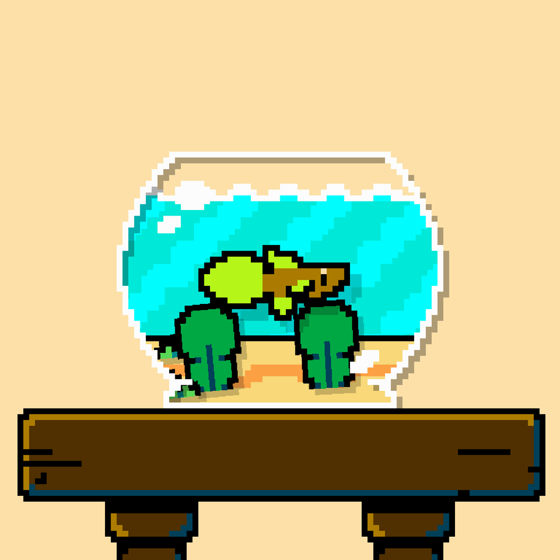 betta fish #524