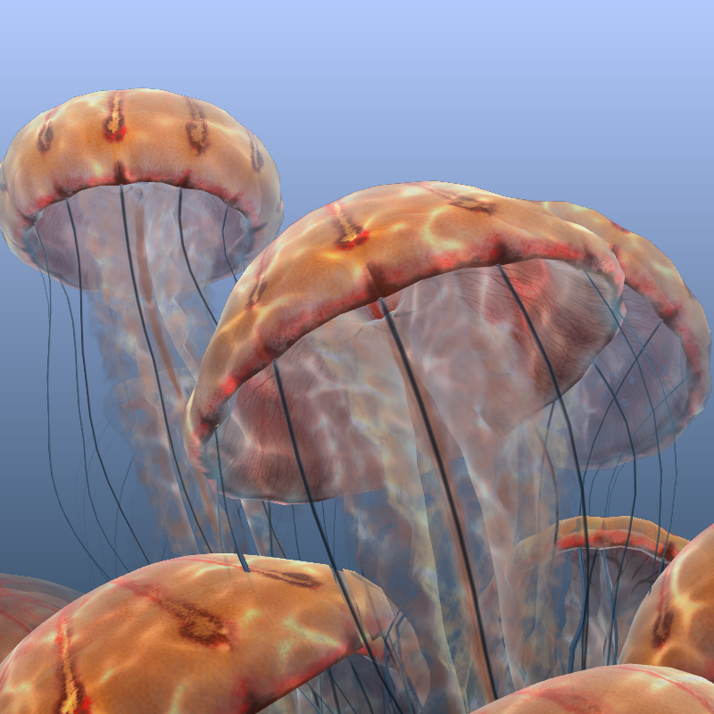 Jellyfish #10