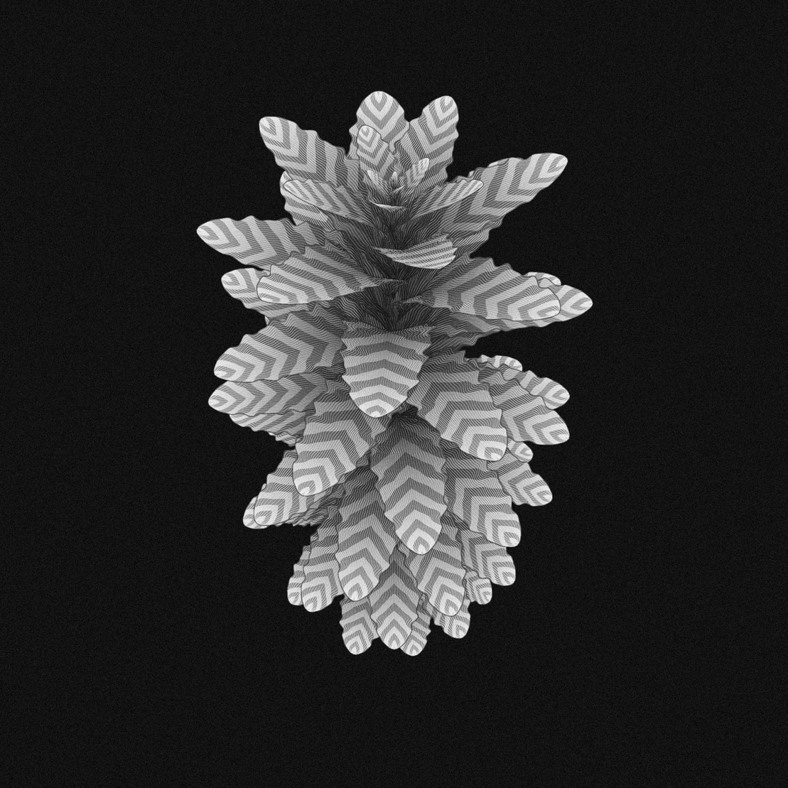 plant #4