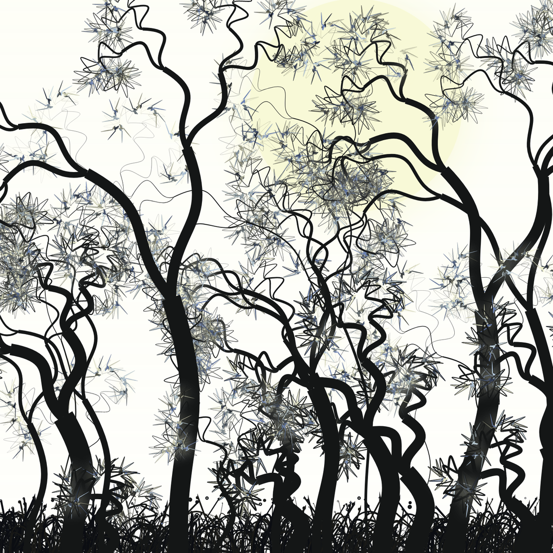 Wildwood Forest #707