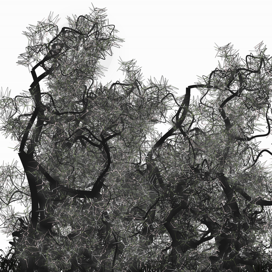 Wildwood Forest #734