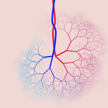 capillary trees #24