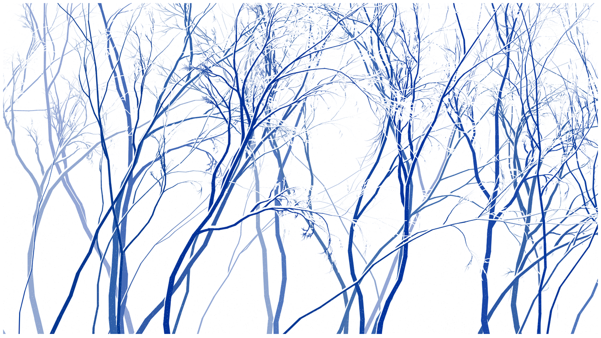SCHNEEWALD #189