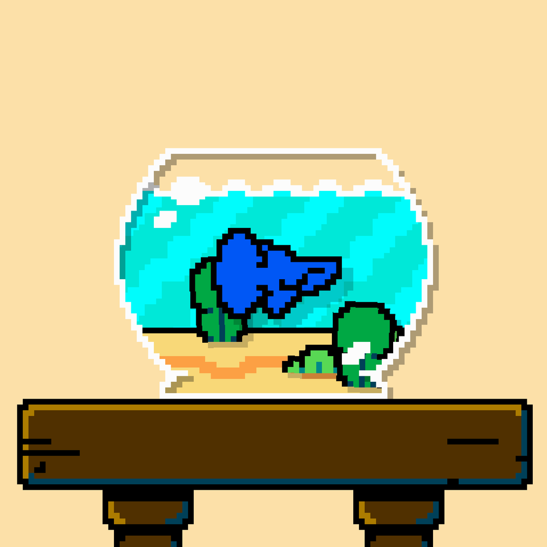 betta fish #177