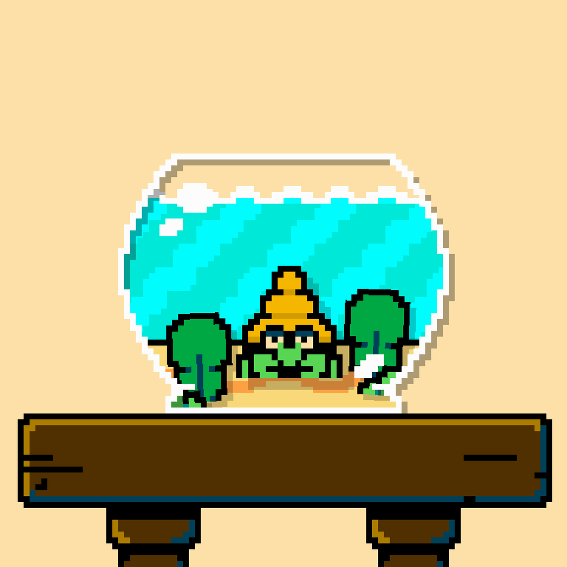 hermit crab #30