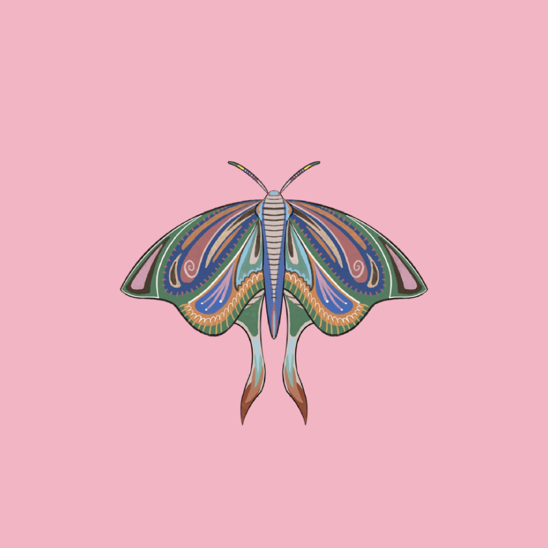 The Moth Experiment 2.0 P1 #9