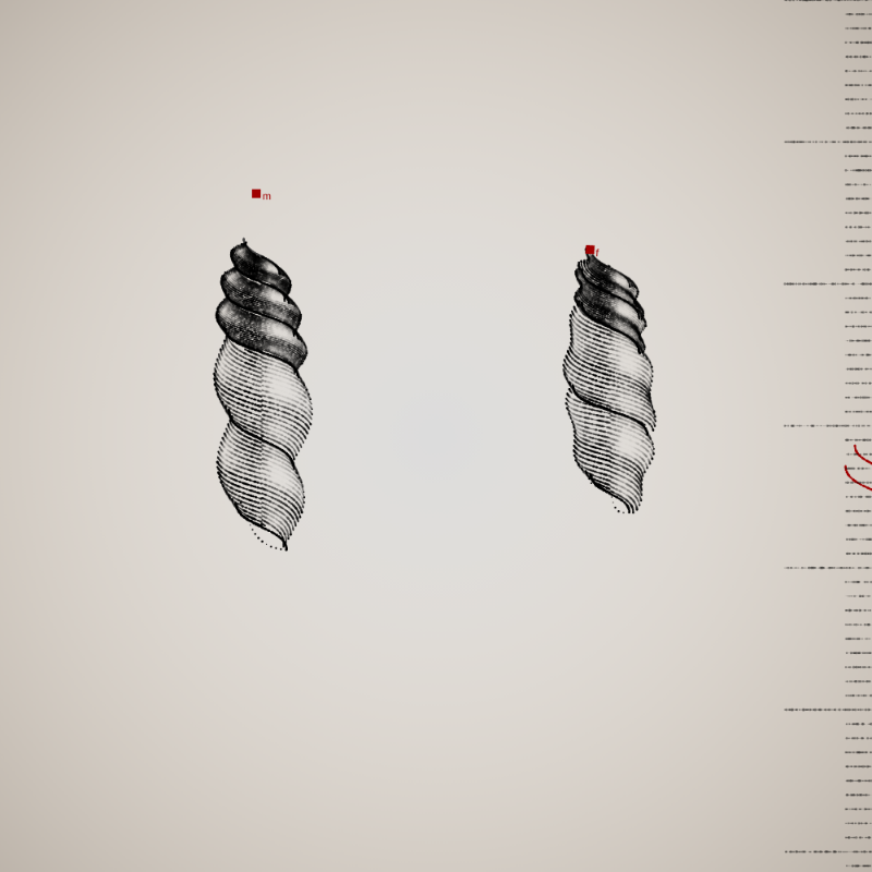 Two Specimen #14
