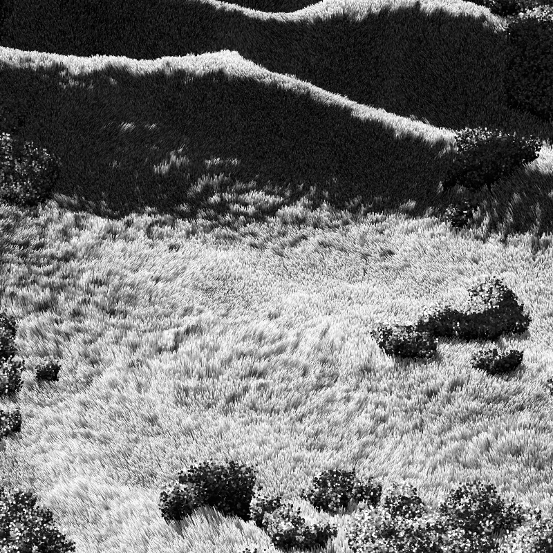 California Hills in Late Sun #194