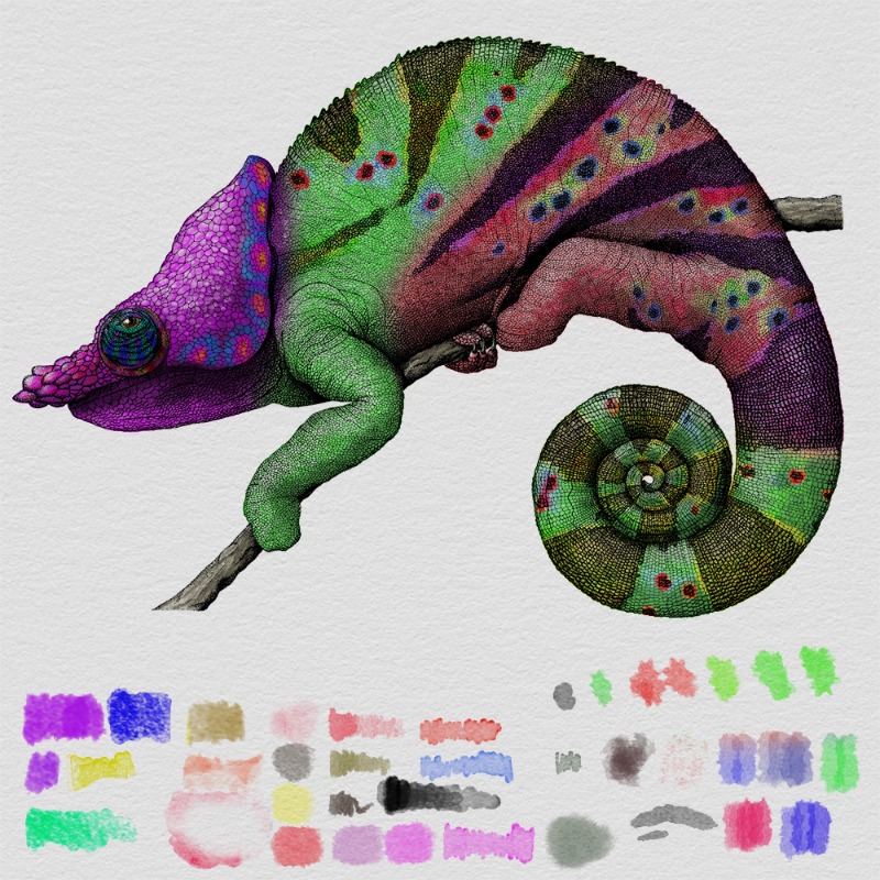 Colorful Cameleon #26