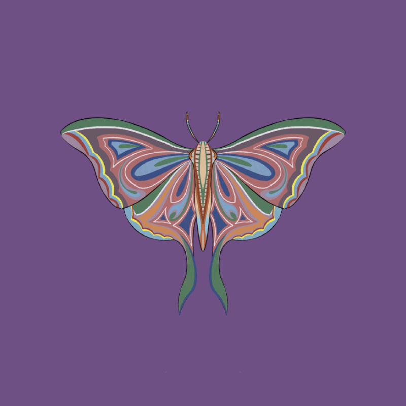 The Moth Experiment 2.0 P2 #1