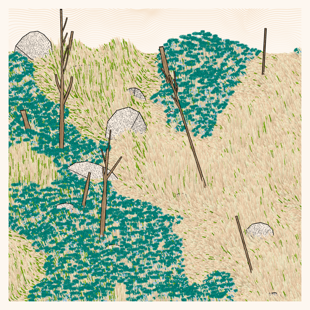 Bagh #211