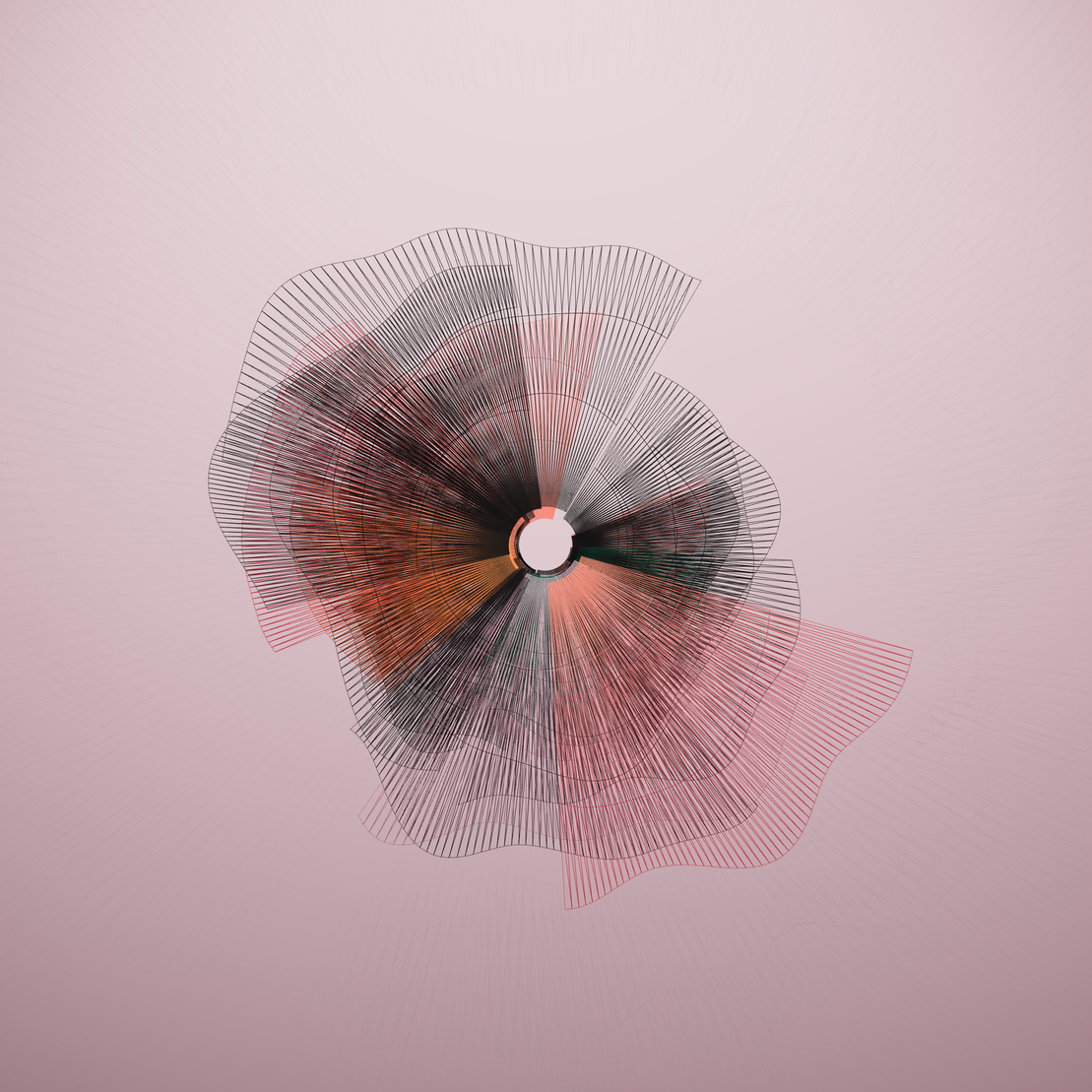 Supernova poppy #120