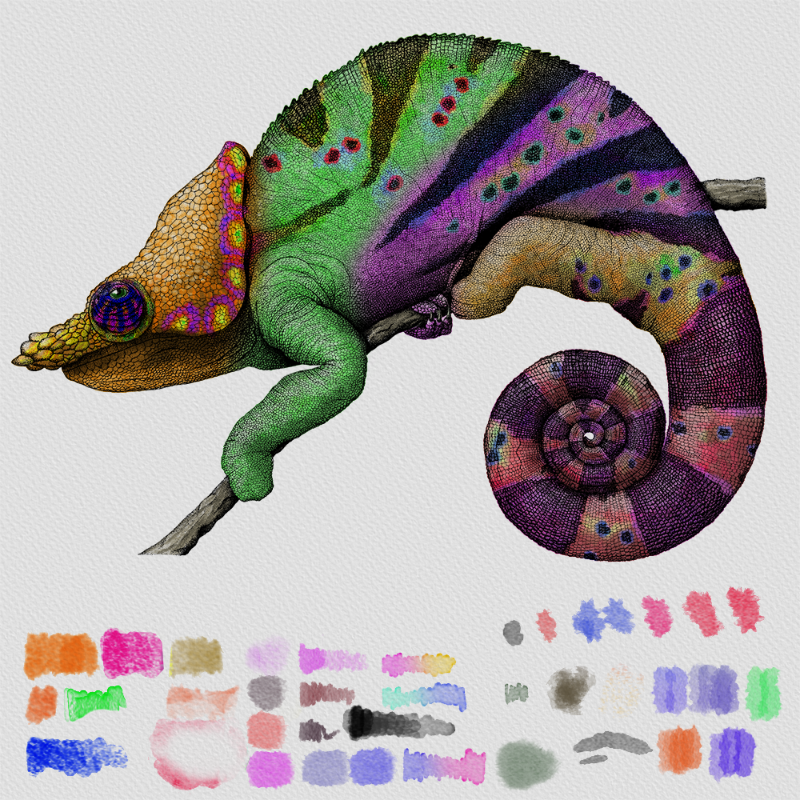 Colorful Cameleon #30