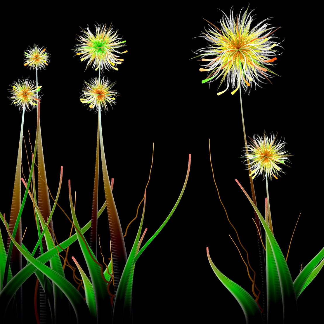 Milena’s Flowers #16