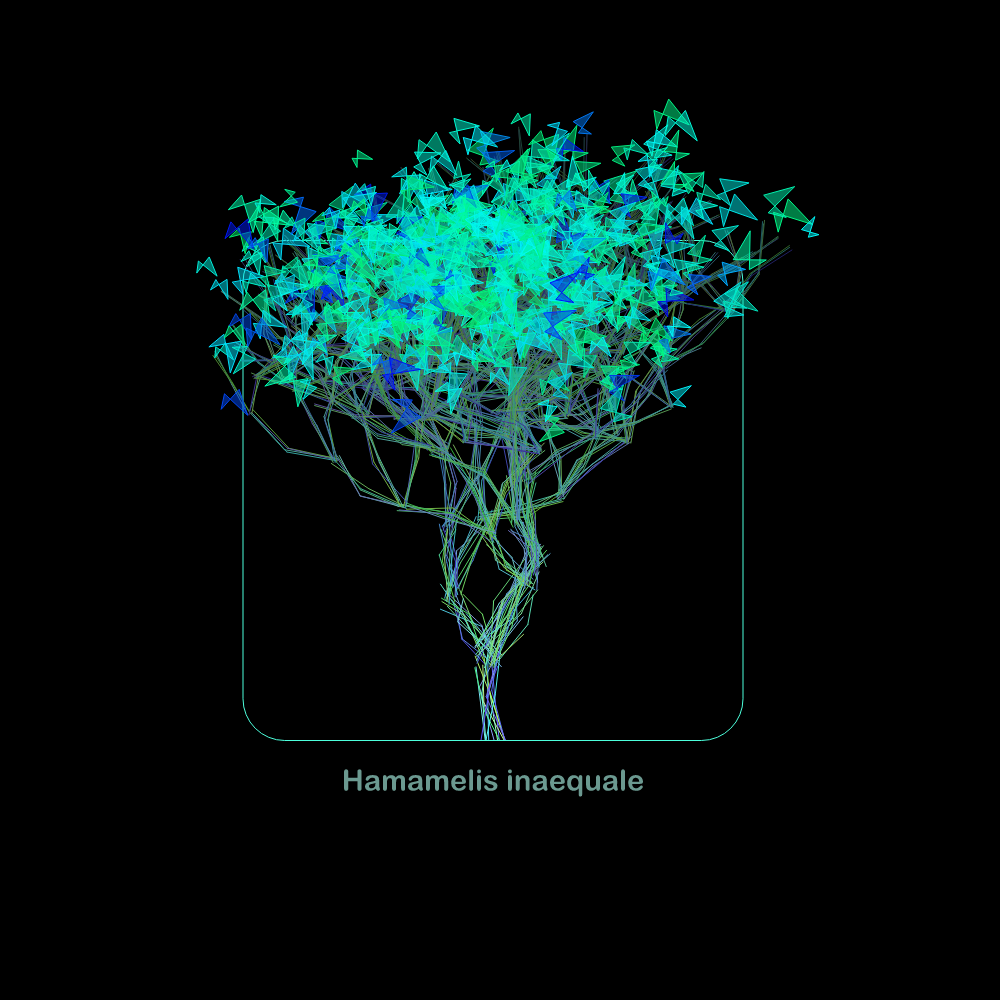 Fluidynamix - Trees #1