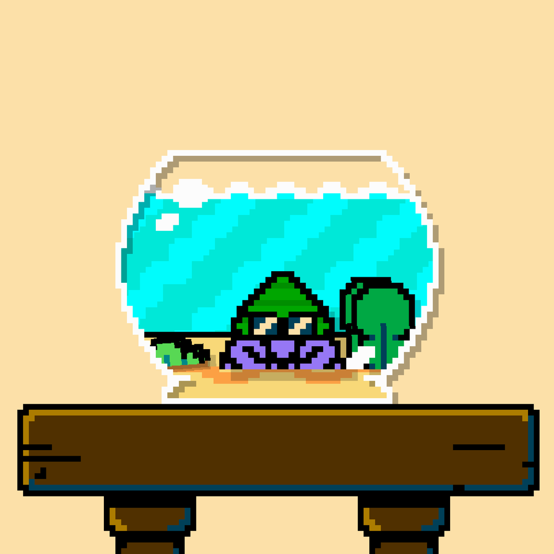 hermit crab #72